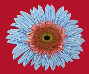 FL4-1313  40X48 CM