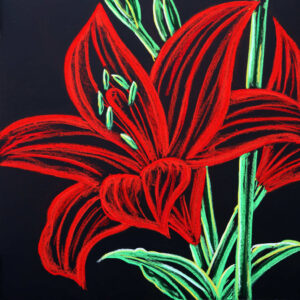 FL5-1346 30X30-45X45 CM
