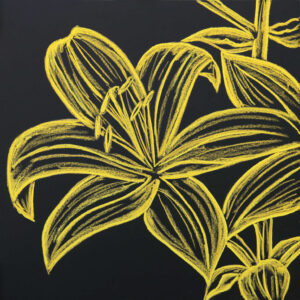 FL5-1350 30X30-45X45 CM