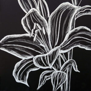 FL5-1354 30X30-45X45 CM