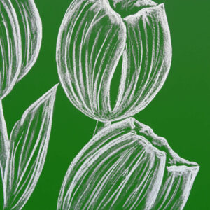 FL6-1427  30X30-45X45 CM
