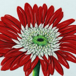 FL4-1435 30X30-45X45 CM