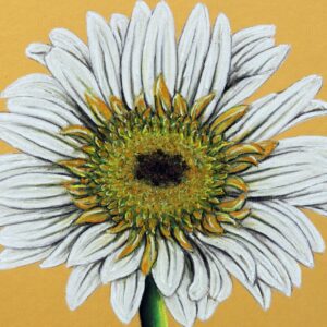FL4-1436 30X30-45X45 CM
