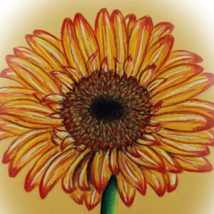 FL4-1437 30X30-45X45 CM