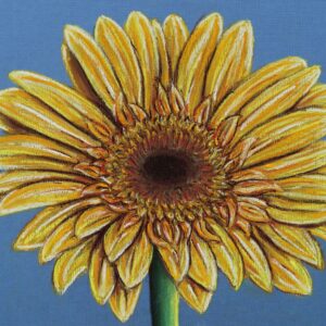FL4-1438 30X30-45X45 CM