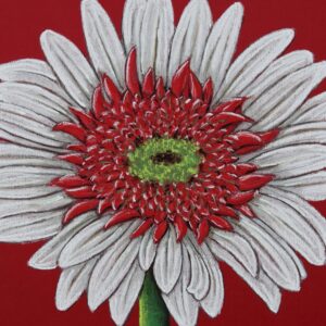 FL4-1440 30X30-45X45 CM