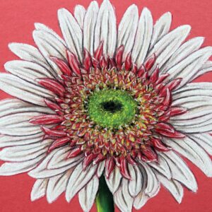 FL4-1442 30X30-45X45 CM