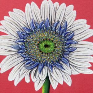 FL4-1443 30X30-45X45 CM