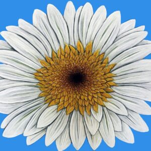 FL4-1445 30X30-45X45 CM