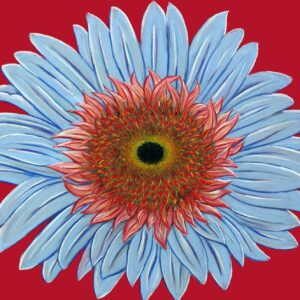 FL4-1447 30X30-45X45 CM