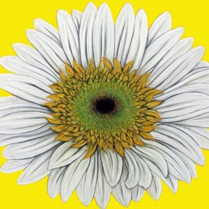 FL4-1451 30X30-45X45 CM
