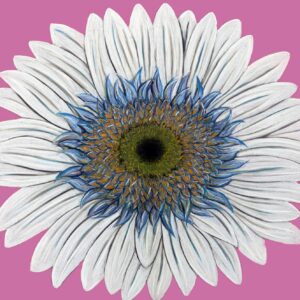FL4-1452 30X30-45X45 CM