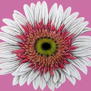 FL4-1453 30X30-45X45 CM