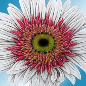 FL4-1455 30X30-45X45 CM