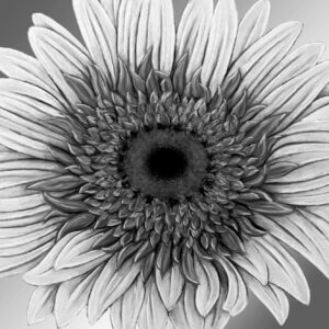 FL4-1464 30X30-45X45 CM
