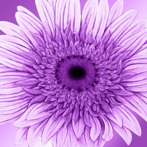 FL4-1465 30X30-45X45 CM