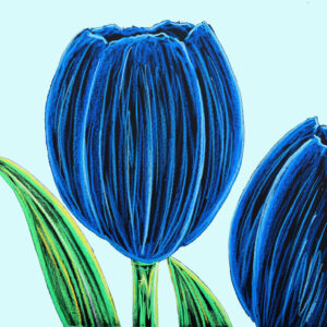 FL6-1465 30X30-45X45 CM