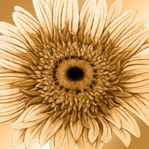 FL4-1466 30X30-45X45 CM