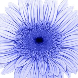 FL4-1467 30X30-45X45 CM