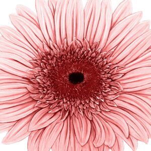 FL4-1468 30X30-45X45 CM