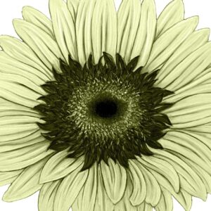 FL4-1469 30X30-45X45 CM