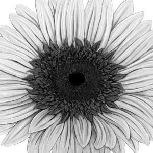 FL4-1470 30X30-45X45 CM