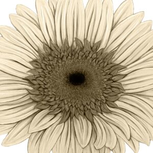 FL4-1471 30X30-45X45 CM