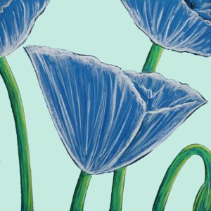 FL6-1476 30X30-45X45 CM