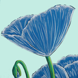 FL6-1479 30X30-45X45 CM