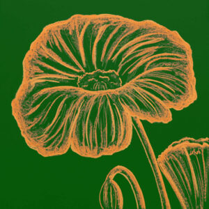 FL6-1483 30X30-45X45 CM