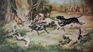 CL-023 22,5X40 CL-023.1 35X60 CM