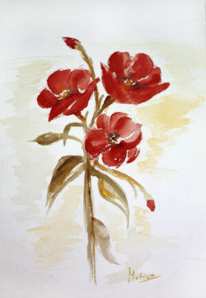 FL1-047 24X34 CM