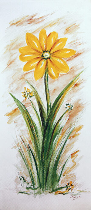 FL1-050 22X49 CM