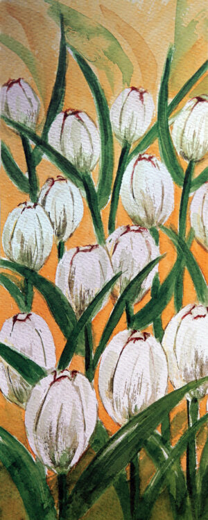 FL1-511A 16X40 CM