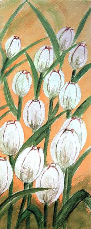 FL1-511C 16X40 CM