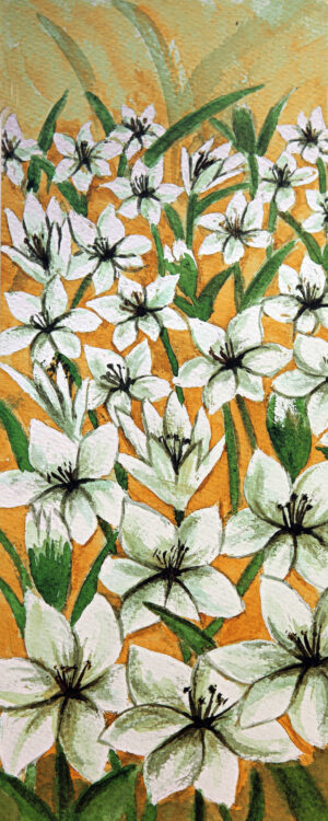FL1-512A 16X40 CM