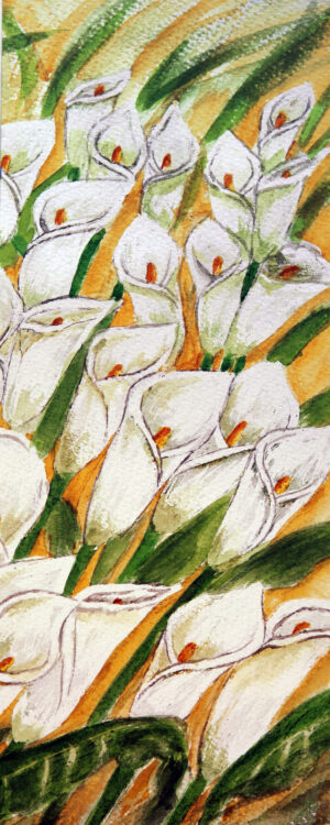 FL1-513C 16X40 CM