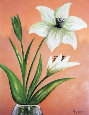 FL1-516 40X52 CM