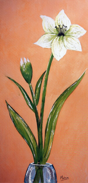 FL1-517 25X52 CM