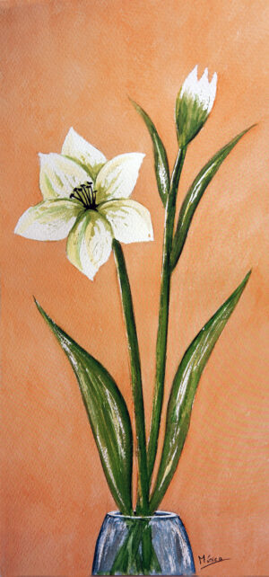 FL1-518 25X52 CM