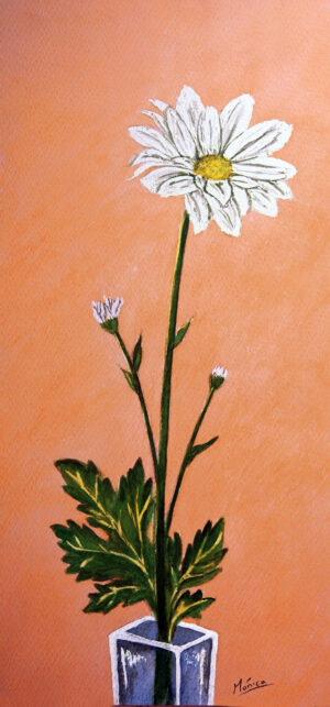 FL1-520 25X52 CM