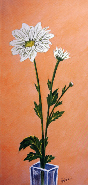 FL1-521 25X52 CM