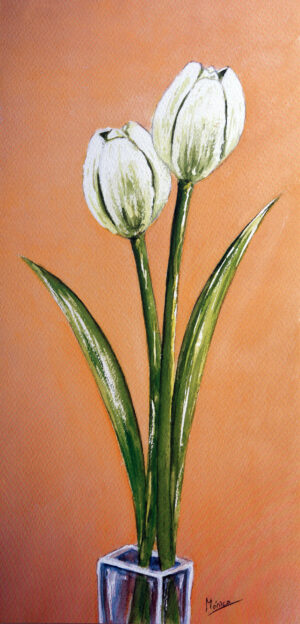 FL1-523 25X52 CM
