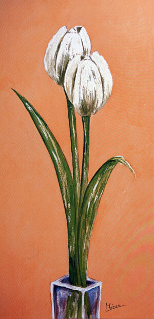 FL1-524 25X52 CM
