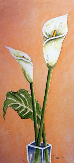 FL1-526 25X52 CM