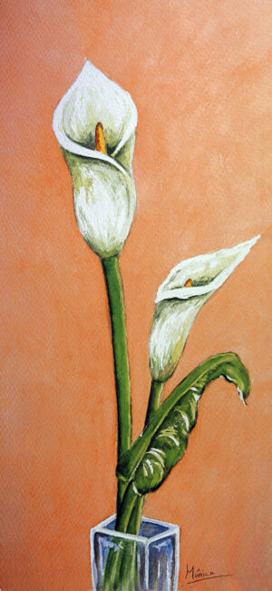 FL1-527 25X52 CM