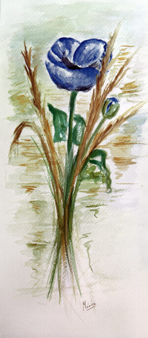 FL1-528 25X56 CM