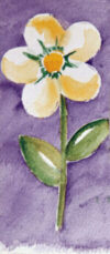 FL1-052C 9,5X22 CM