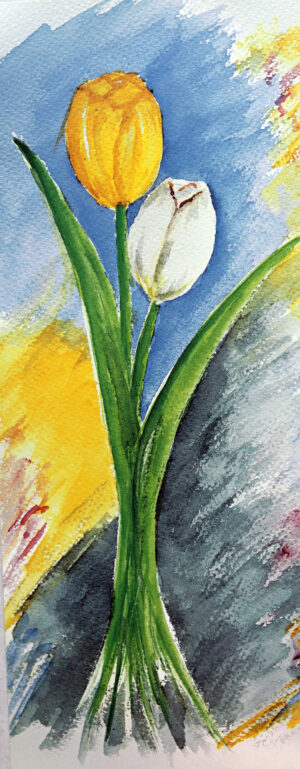 FL1-538A 20X49 CM