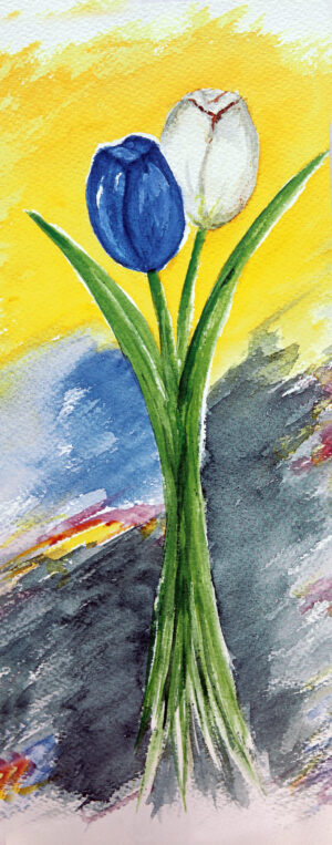 FL1-538B 20X49 CM